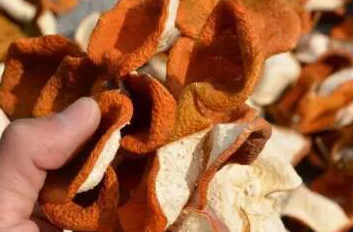 新会陈皮的年份可以用机器来检测吗?