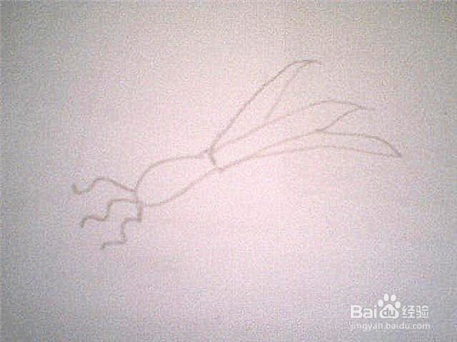 简笔画大葱该怎样画