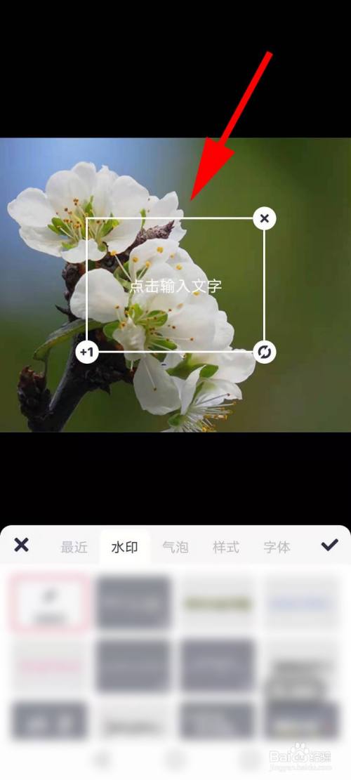如何在图片上编辑姓名