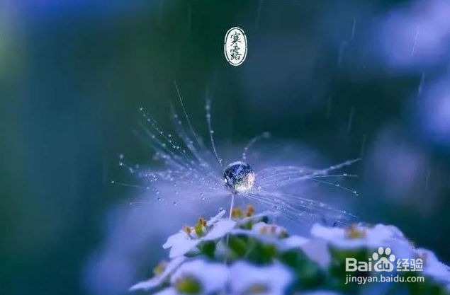 寒露时节需要注意的养生小知识