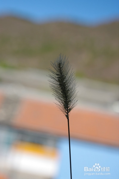 北京旅游攻略：[5]