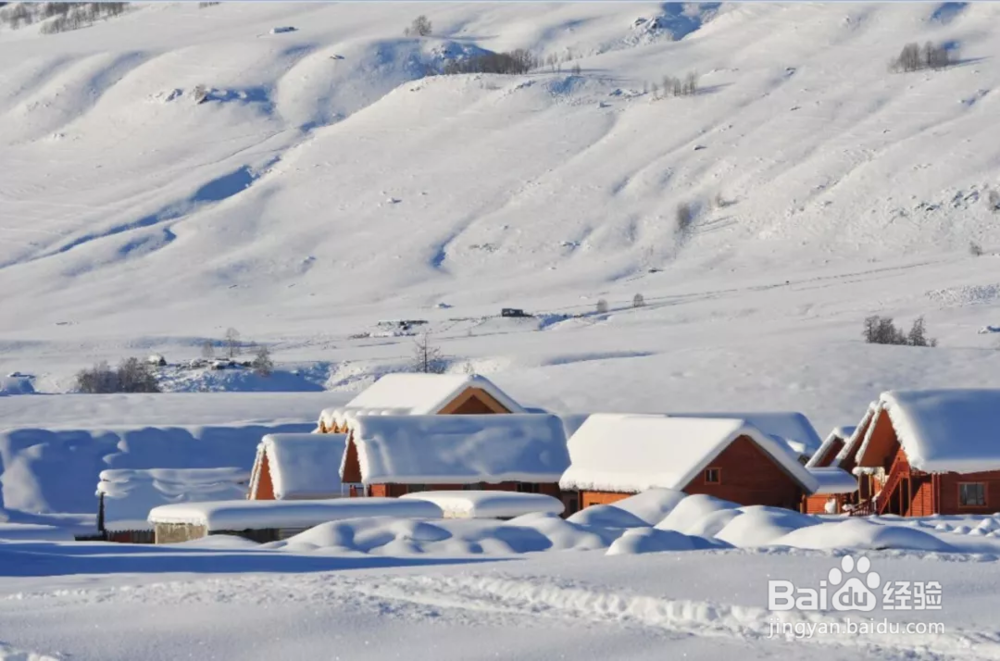 喀纳斯初冬出行指南