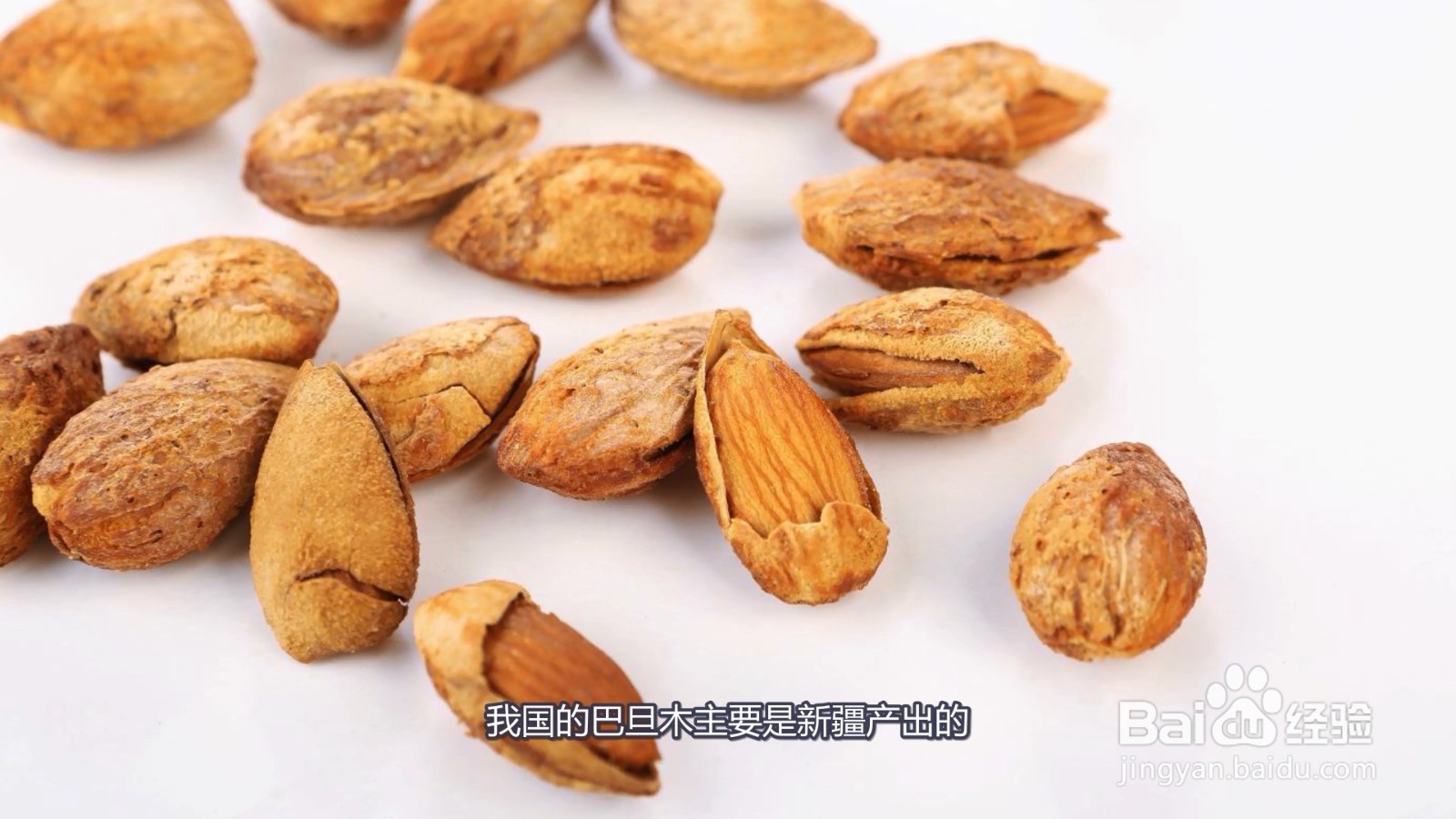 巴旦木是什么果