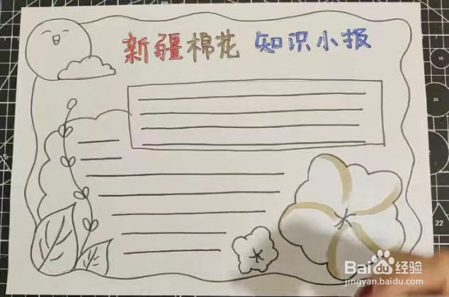 新疆棉花知识小报怎么画