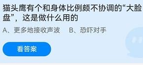 猫头鹰的大脸盘是做什么用的?蚂蚁庄园