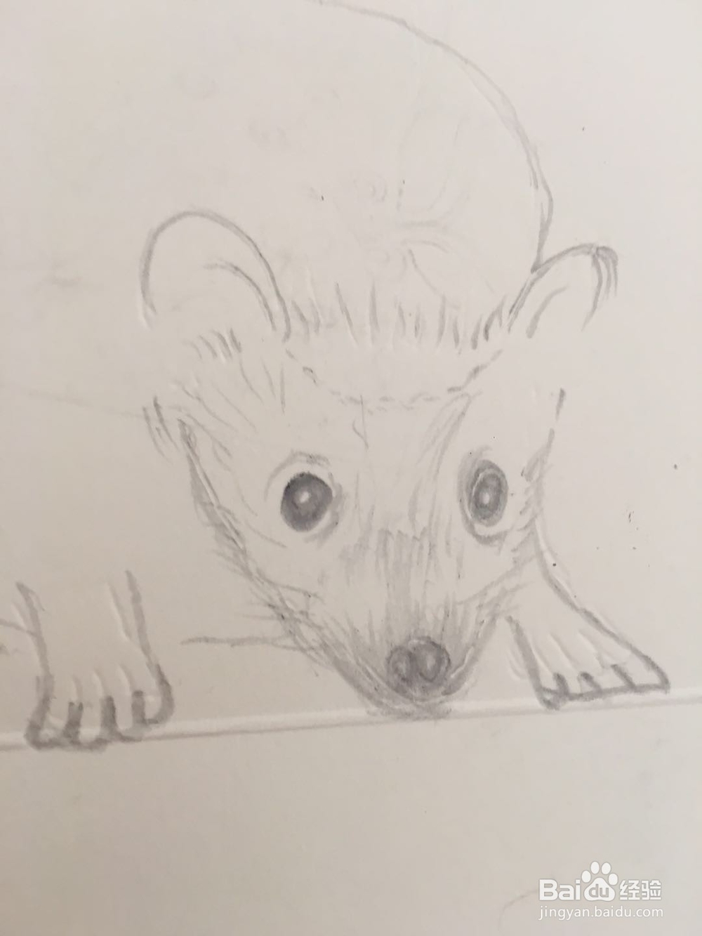 怎样画刺猬的简笔画