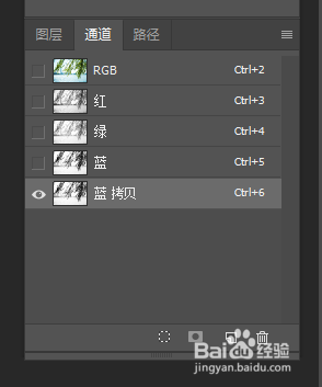 PS通道抠图杂乱的树叶
