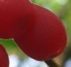 危险无处不在，提高防灾避险意识