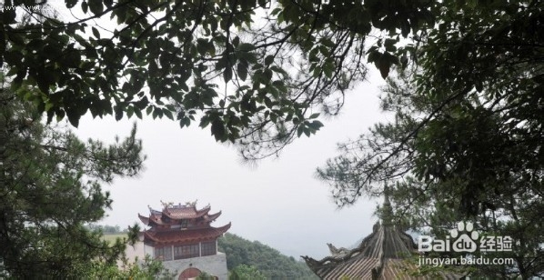 义务大陈农业旅游不瞎玩，月月新鲜吃不停！