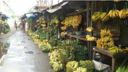 <b>如何在印度尼西亚当地市场选择香蕉</b>
