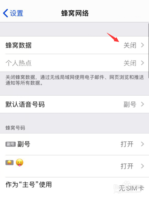 苹果手机移动数据怎么开