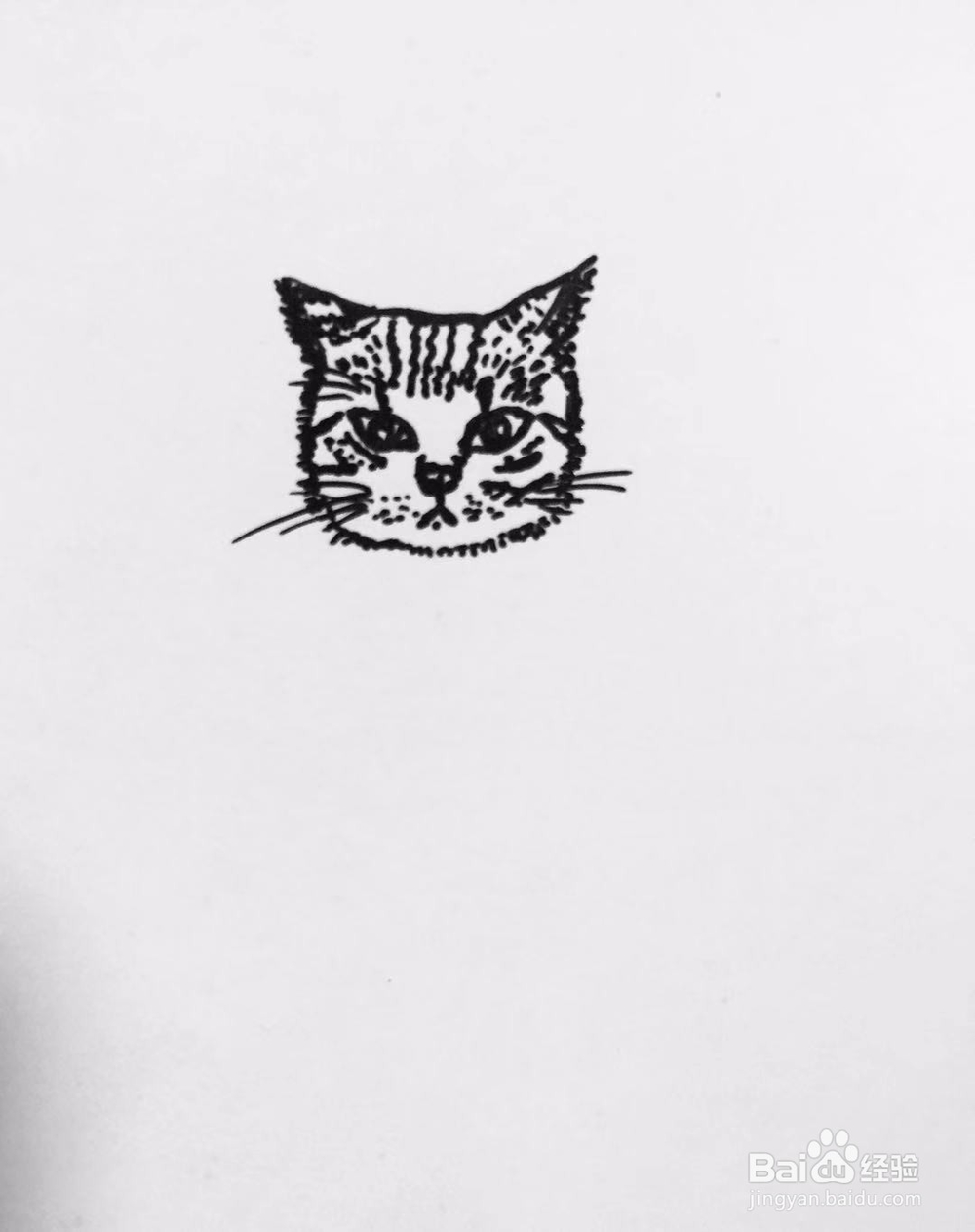 茉莉手绘之喵星人