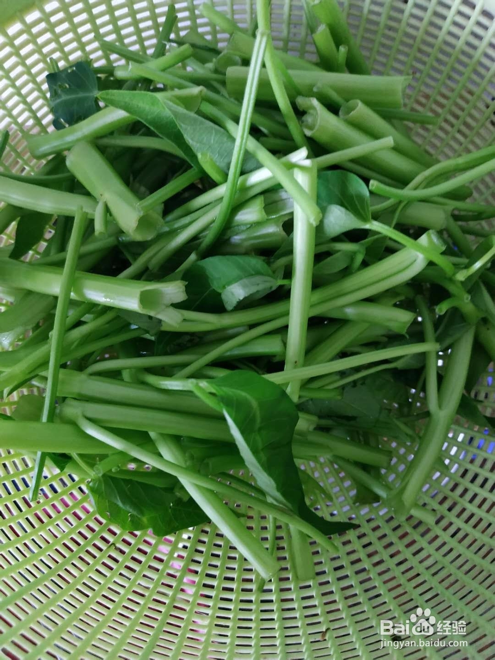 素炒空心菜---美味!!