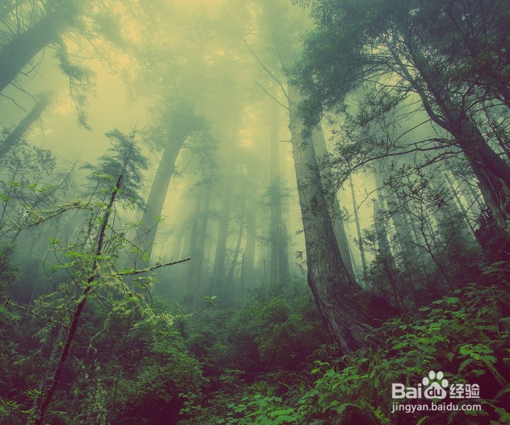 凉山森林火灾，我们以后遇到该怎么办？