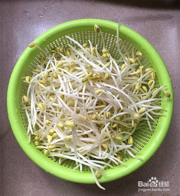 教你做黄豆芽炒韭菜