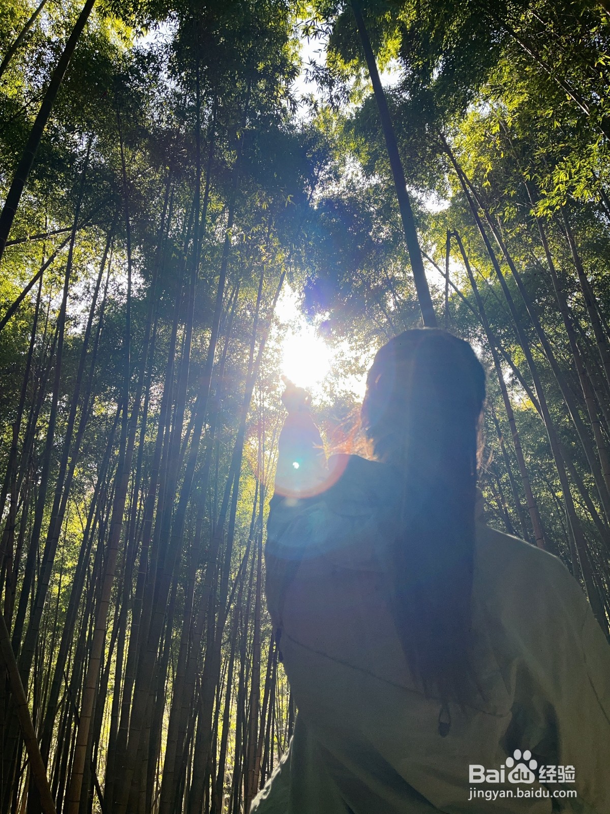 出门旅游要做好哪些计划