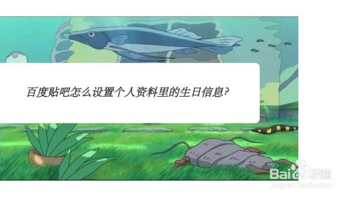 百度贴吧怎么设置个人资料里的生日信息