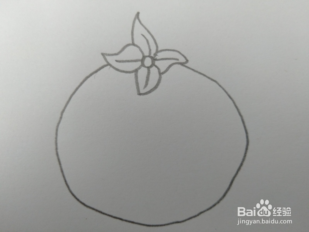 简笔画柿子画法一