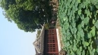 苏州旅游感受