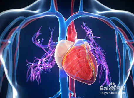 怎么合理地喝水？