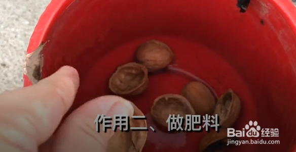 核桃壳有什么作用？