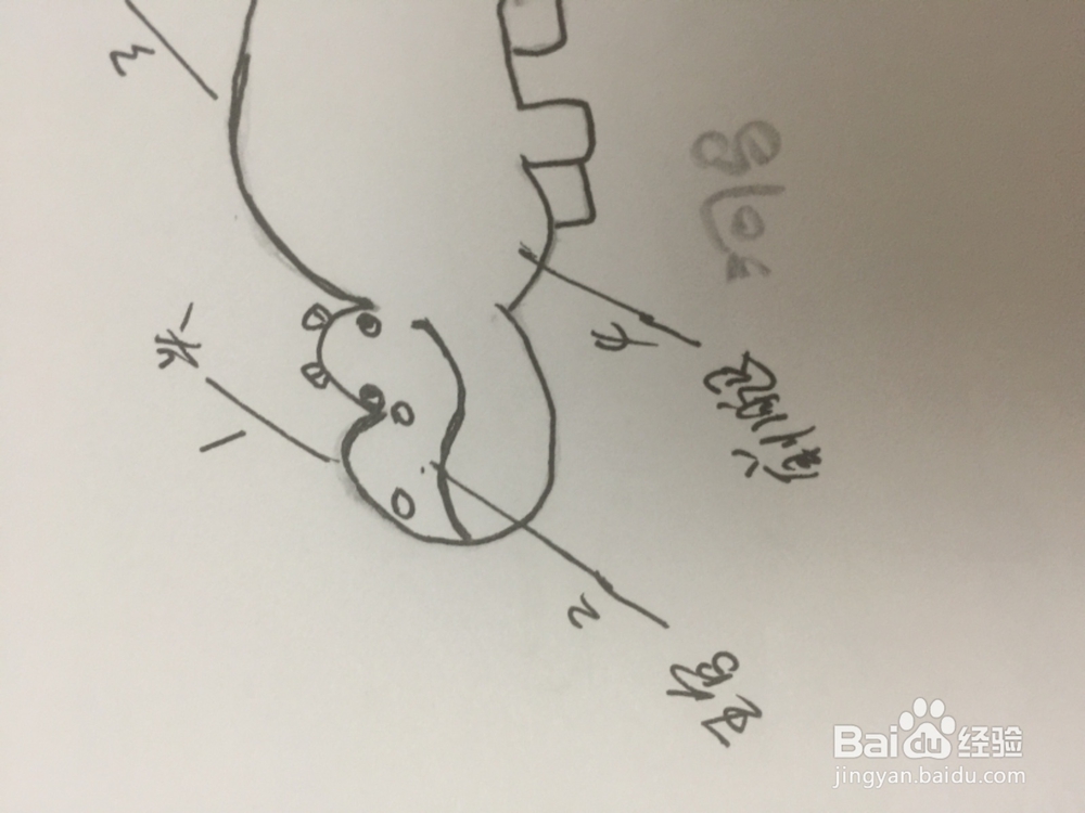 如何画安详的和马