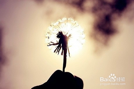 喜欢上一个人怎么办