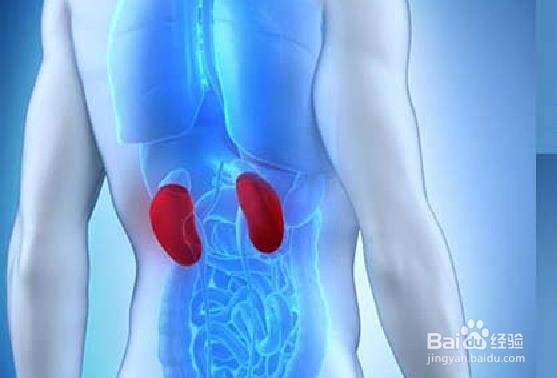 糖尿病会给身体造成哪些破坏