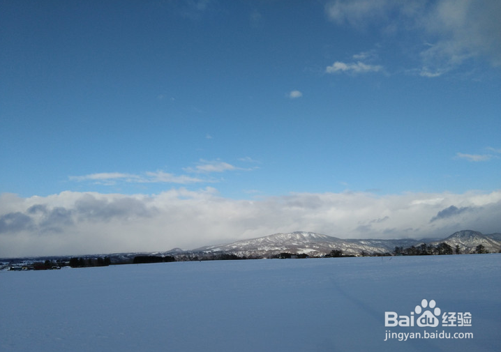 一条性价比爆棚的万元以下日本北海道观雪路线