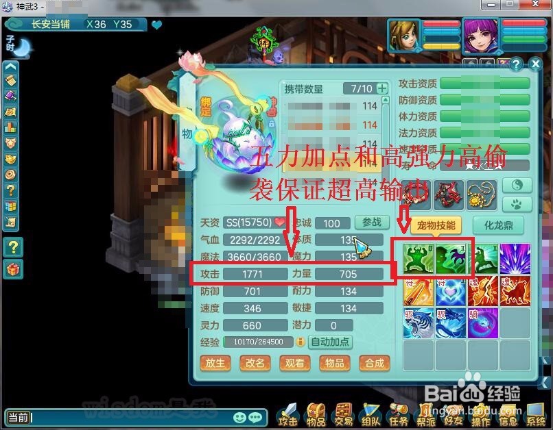 神武3百级副本宝宝怎么加点