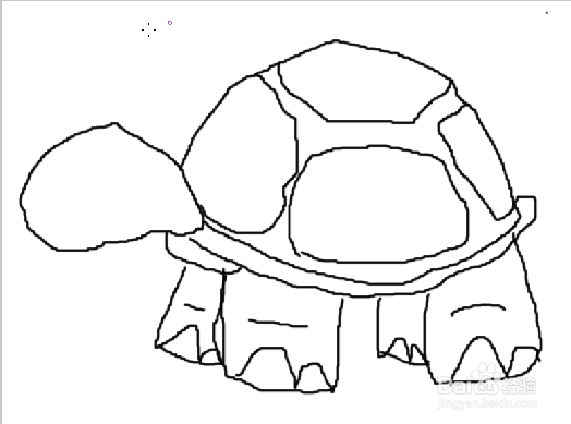 用firework的画刷工具画一个乌龟