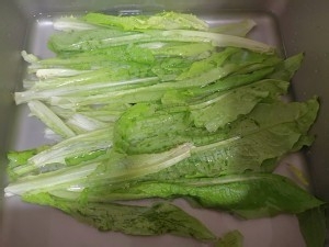 清炒油麦菜制作方法