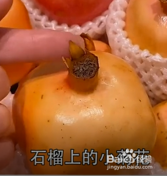 挑石榴的小妙招。