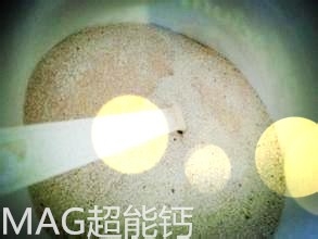 狗狗什么时候是老了？需要补充什么营养？