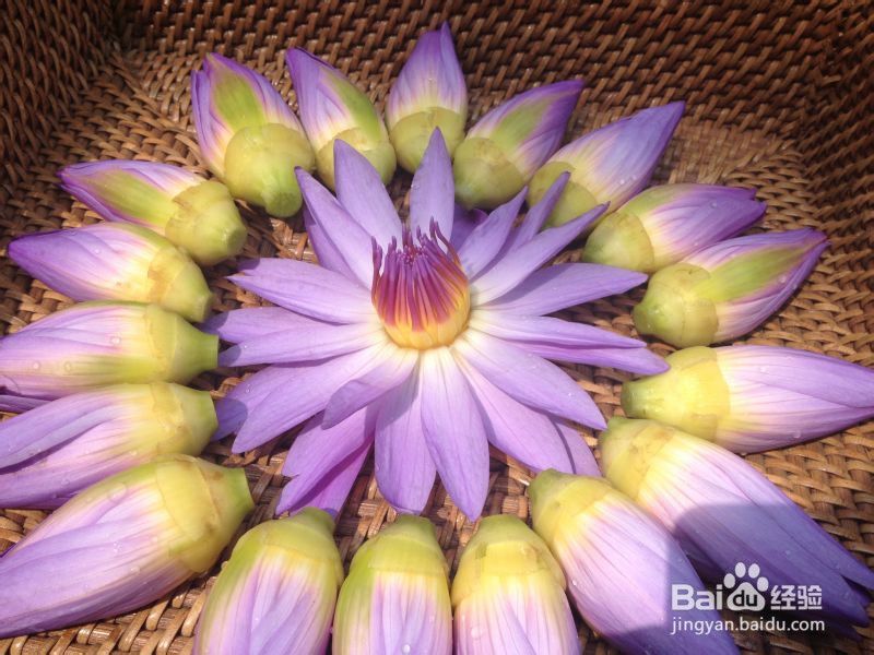 怎么样才会给肌肤更好的补水保湿