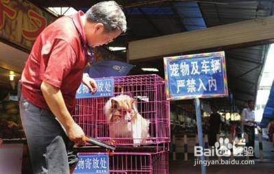 宠物寄存操作流程