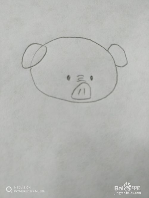 可爱又简单的小猪怎么画