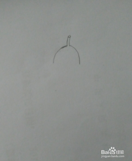 简笔画茄子教程