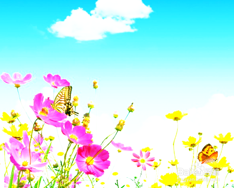 小学生如何写好作文