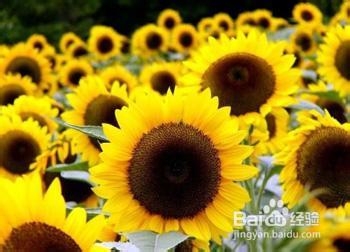 快点远离坏情绪