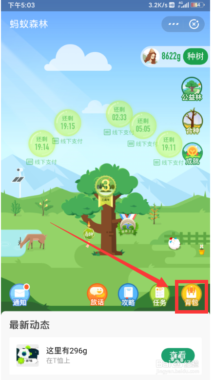 蚂蚁森林的时光加速器在哪获得