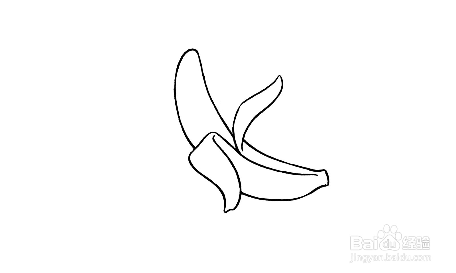 简笔画剥开的香蕉怎么画