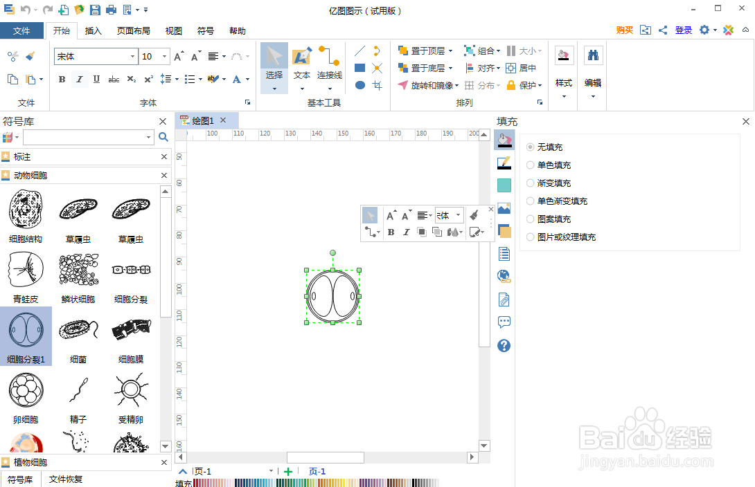 在亿图图示中创建细胞分裂图
