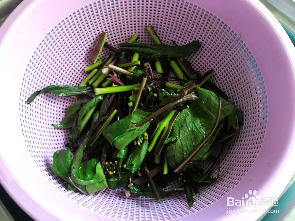 好吃到哭的清炒红菜苔