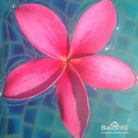 健身后不能做的事