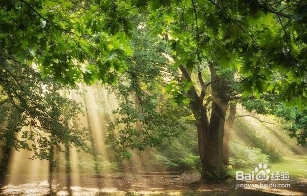 四个字的强迫症的最简单治疗方法