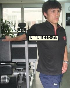 增肌训练中如何抻拉身体各部分肌肉