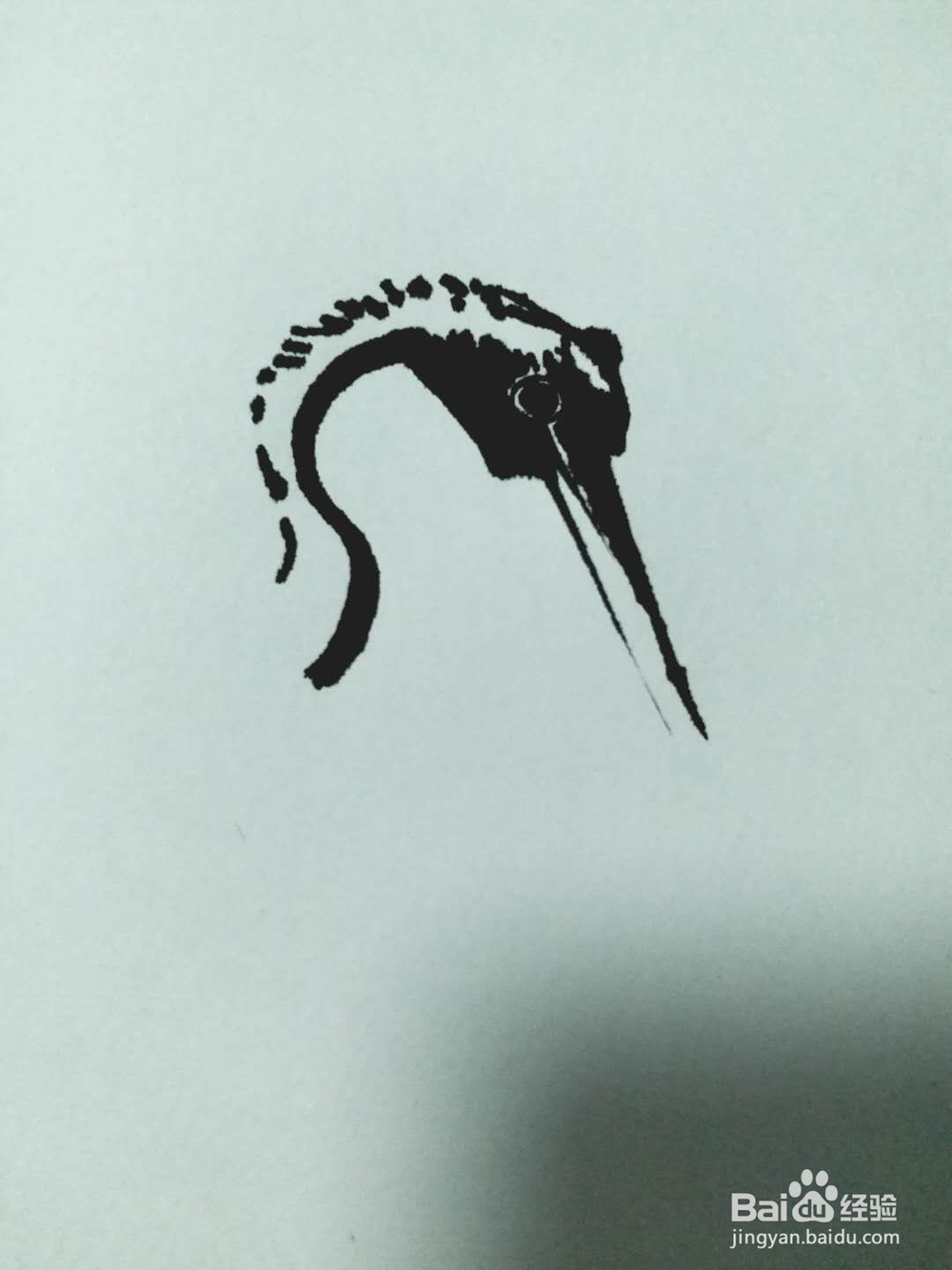 海鹤的钢笔画