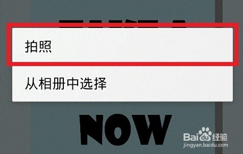 如何根据图片照片识别植物名称?