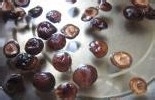 教你做香菇烧鸡公